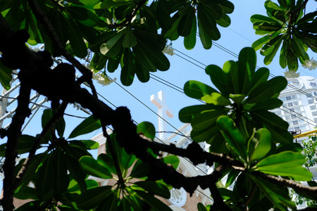 DSCF5528.JPG