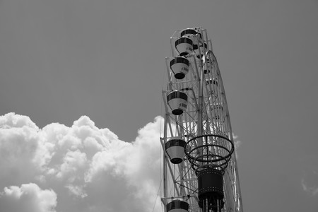 DSCF8393.jpg